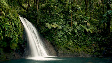 Agua proveniente de una cascada. Foto Pexels