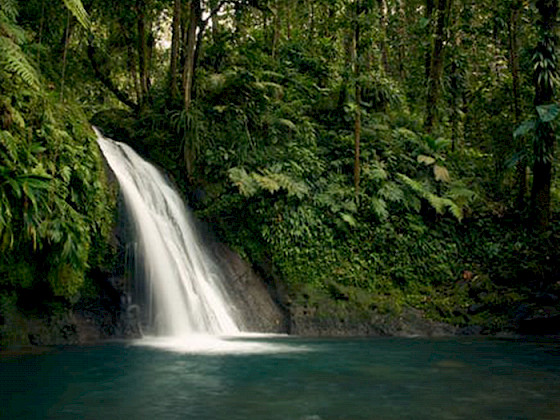 Agua proveniente de una cascada. Foto Pexels