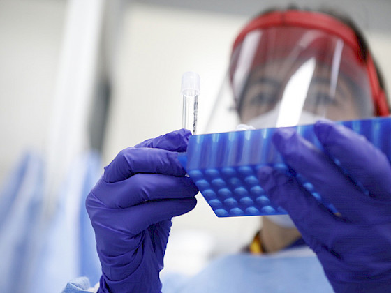 Científico con escudo facial y guates azules manipulando tubos de ensayo.