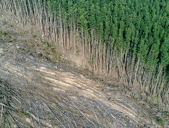 imagen correspondiente a la noticia: "Expertos de todo el mundo entregan informe sobre biodiversidad y cambio climático"