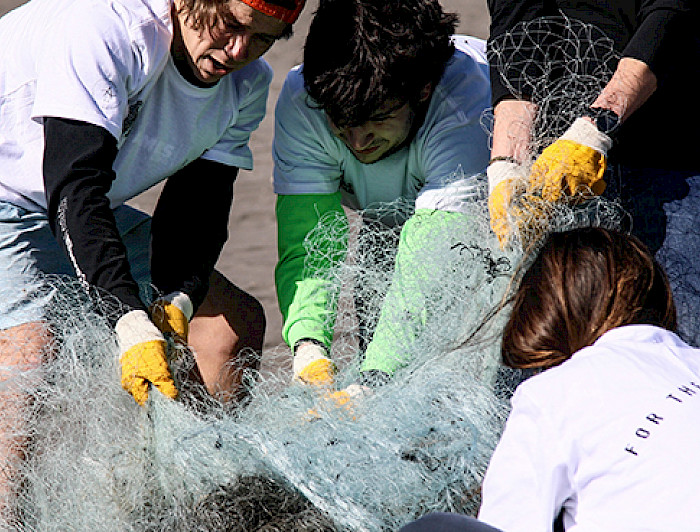 Un grupo de estudiantes retira redes de plástico de la playa. 