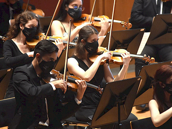 Violinistas tocan en una orquesta