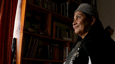 mujer mapuche mirando por una ventana