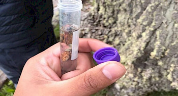 investigación de levadura en la Patagonia. Foto CAPES