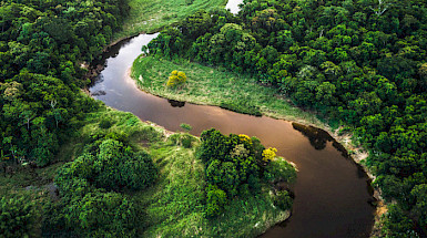 an aerial view of a river in the middle of a forest