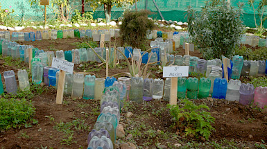 Sistema de riego con botellas de plástico en un jardín con plantas y árboles.