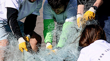 Students removing a fishing net from a beach
