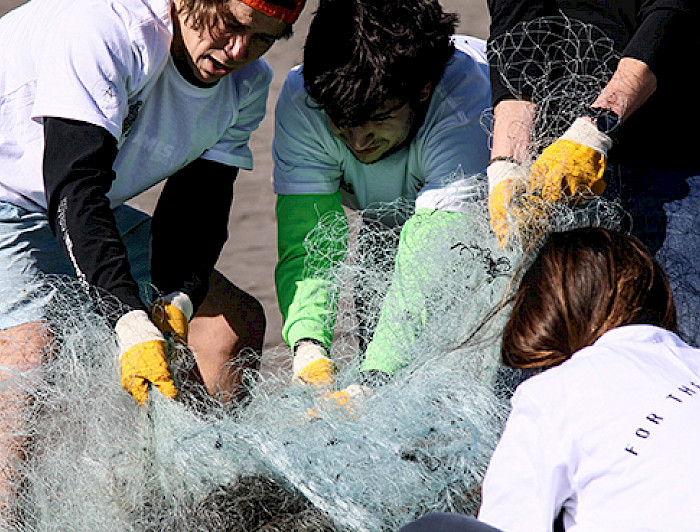 Students removing a fishing net from a beach