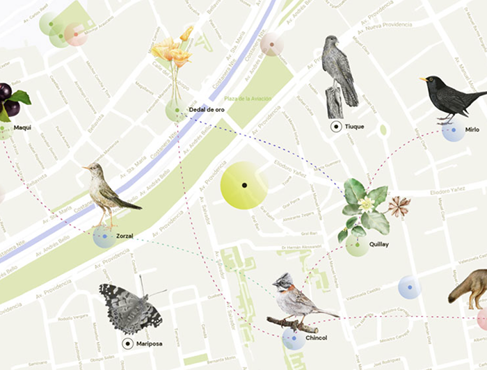 Mapa donde se3 pueden conocer distintas especies.- Foto Foto: María de los Ángeles Medina