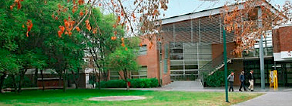 Faculty of Physics