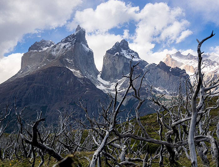 imagen correspondiente a la noticia: "Los suelos de la Patagonia son muy vulnerables a la degradación por incendios forestales"