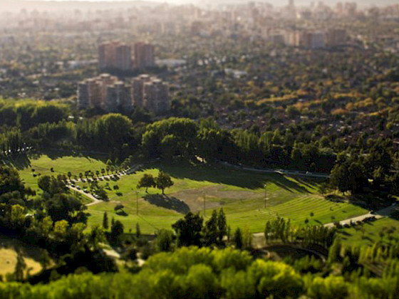 Arboles en Santiago.- Foto Claudio Olivares Medina