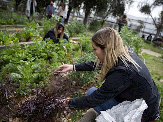 Hurtos sustentables.- Foto Dirección de Comunicaciones