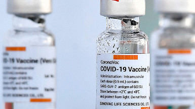 a row of vials with the word covid - 19 vaccine on them