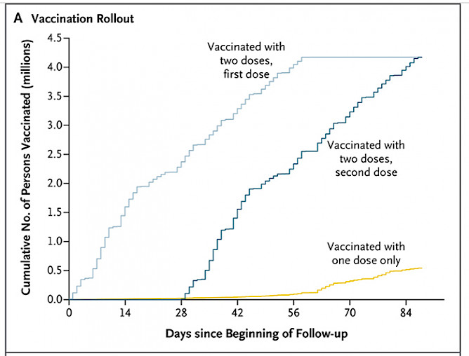 The graph clearly shows that people who received their first dose were vaccinated with the second dose within the established 28-day timeframe. (See complete chart)