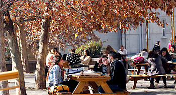 Joven estudiando en un patio de la Casa Central