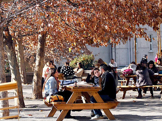 Joven estudiando en un patio de la Casa Central