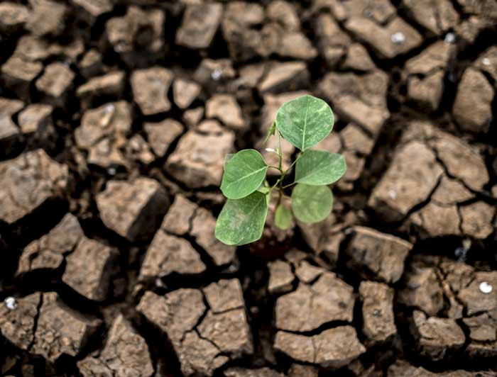 imagen correspondiente a la noticia: "Los desafíos constitucionales del Cambio Climático"