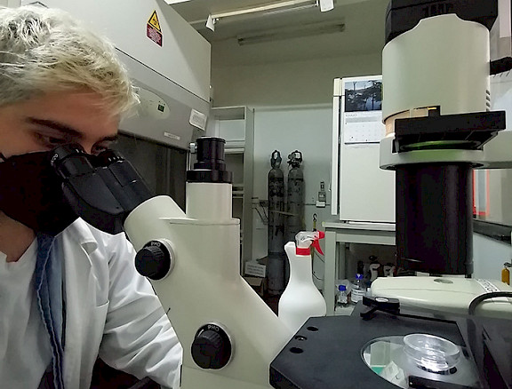 Scientist looking through a microscope.