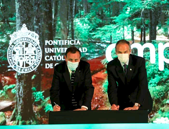 imagen correspondiente a la noticia: "UC y CMPC se unen en la Cátedra Biodiversidad y Desarrollo Sostenible"