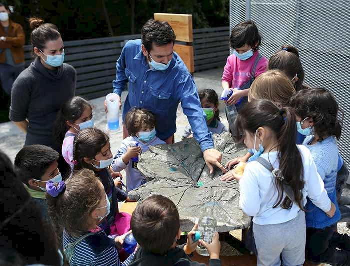 grupo de niños observando material educativo