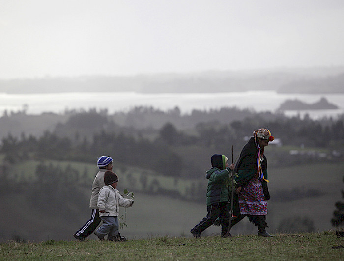 Mujer y niños mapuche caminando por el campo