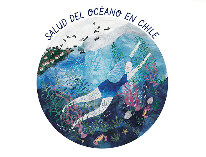 imagen correspondiente a la noticia: "Realizan primera consulta ciudadana sobre la salud del océano en Chile"