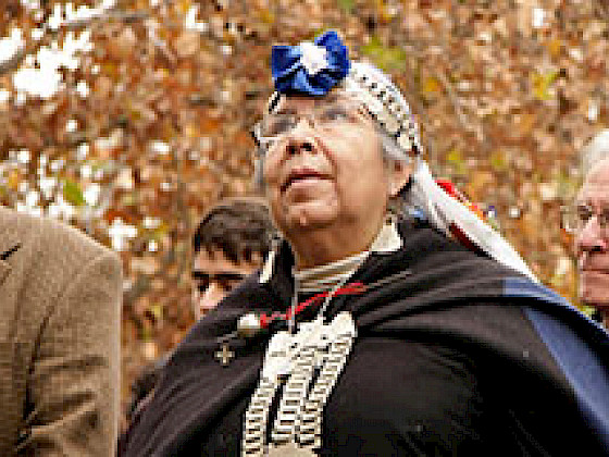 Adultos mayores mapuches en exterior