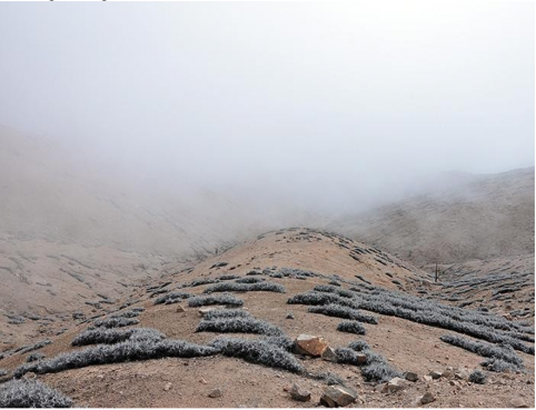 Fog over desert mountains