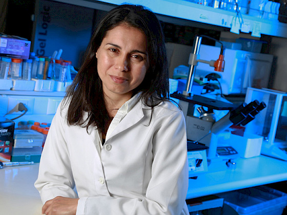 Dra. Susan Bueno, académica FCB.- Foto Dirección de ComunicacionesF