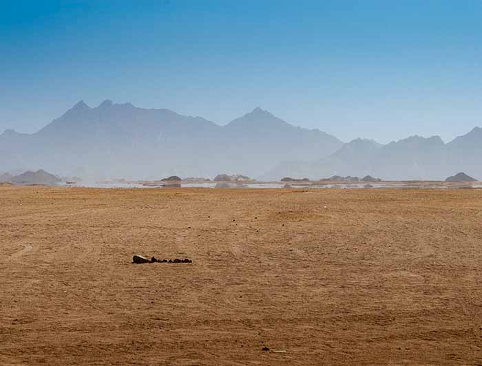 imagen correspondiente a la noticia: "UC abordará cómo enfrentar la sequía junto a expertos internacionales"