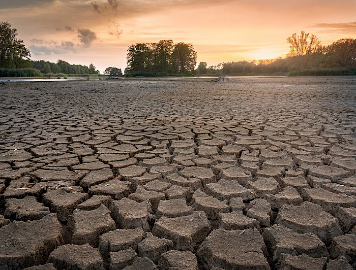 Efectos de la sequía.- Foto Pixabay