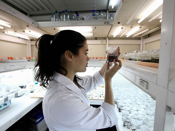 Una científica experimentando en un laboratorio.