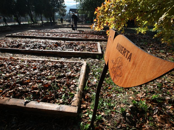 Imagen del huerto San Francisco en Campus San Joaquín.
