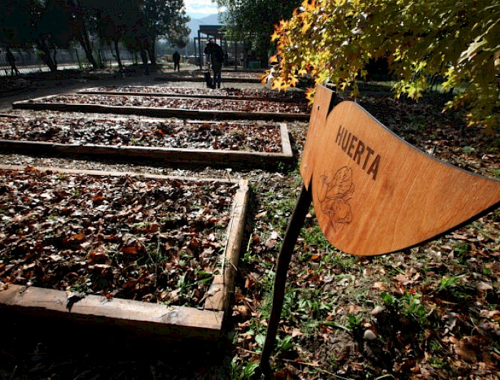 Imagen del huerto San Francisco en Campus San Joaquín.