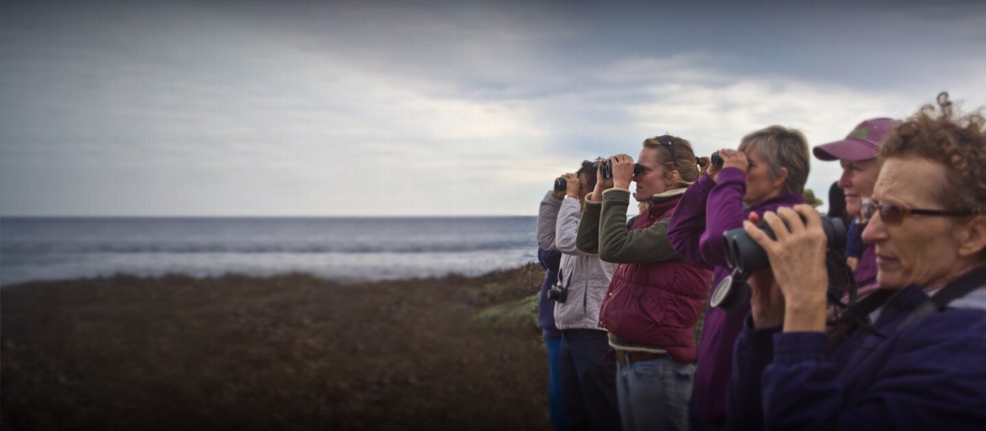People sighting with binoculars on a beach.
