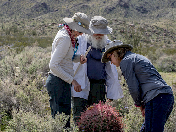 People observing a cactus.