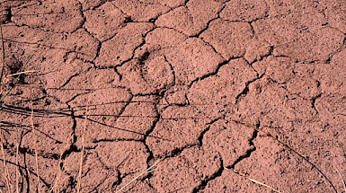 The scale of the problem has led a group of professors and researchers of the university to launch the "UC Drought Initiative," a joint and interdisciplinary effort between representatives of five faculties and three UC centres