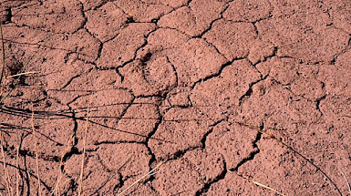 a close up view of a dry, cracked ground