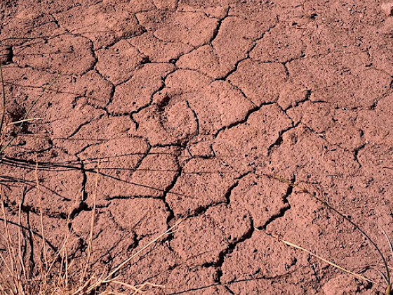 a close up view of a dry, cracked ground