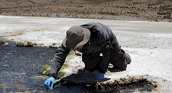 Científico obteniendo una muestra en un río.