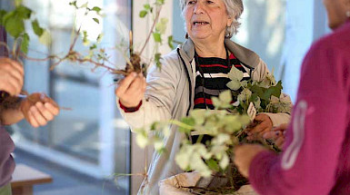 mujer que muestra una planta