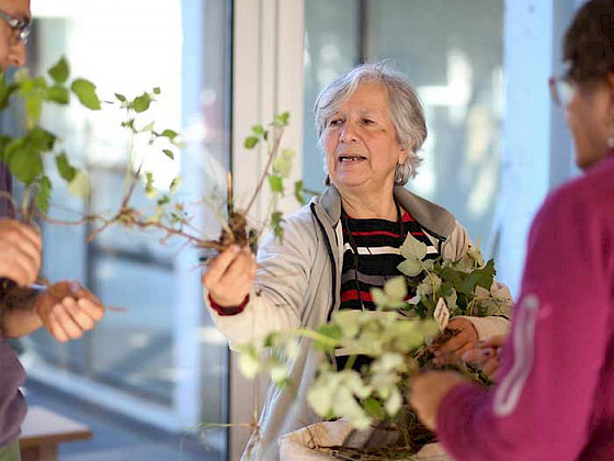 mujer que muestra una planta