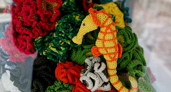 caballo de mar y corales tejidos a crochet en diferentes colores