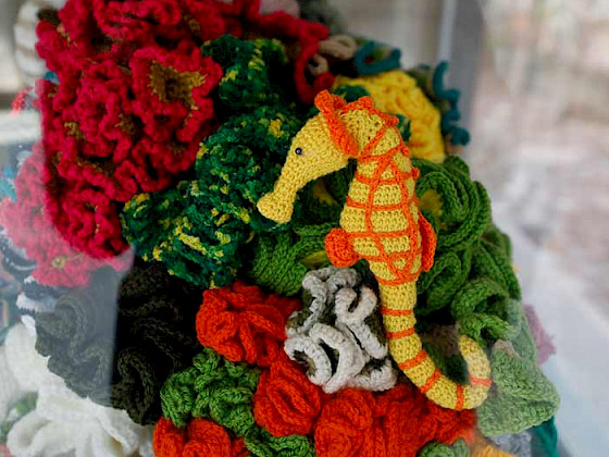 caballo de mar y corales tejidos a crochet en diferentes colores