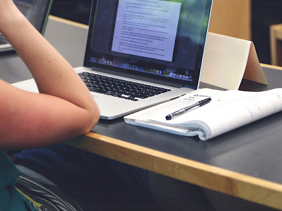 Person looking at a computer screen.