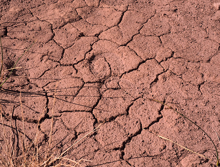 "Me di cuenta que los momentos de máxima precipitación o de máxima sequía, eran momentos importantes en la historia de Chile, momentos clave, y eso está asociado con el Fenómeno de El Niño", explica el profesor Camus. (Crédito fotográfico: Nicole Saffie)