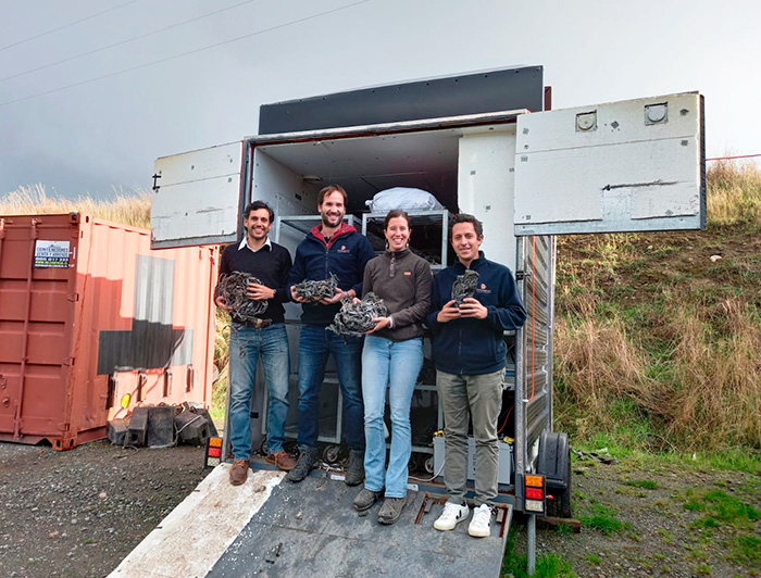 Foto de Sebastián Gatica, Juan Pablo Puga, María José De la Fuente y Tomás Bravo con algas en las manos.