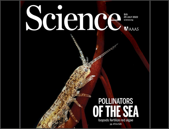 Portada revista Science con el título Pollinators of the sea.