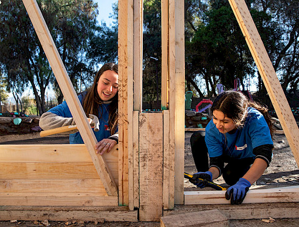 voluntarias